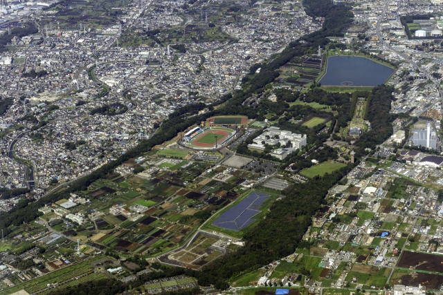 女子美術大学は難しい 偏差値 難易度 評判や就職率などご紹介 スタジオパパパ